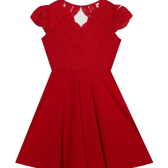 Rare Editions | Dresses | Big Girl Lace Bodice Skater Dress | Poshmark
